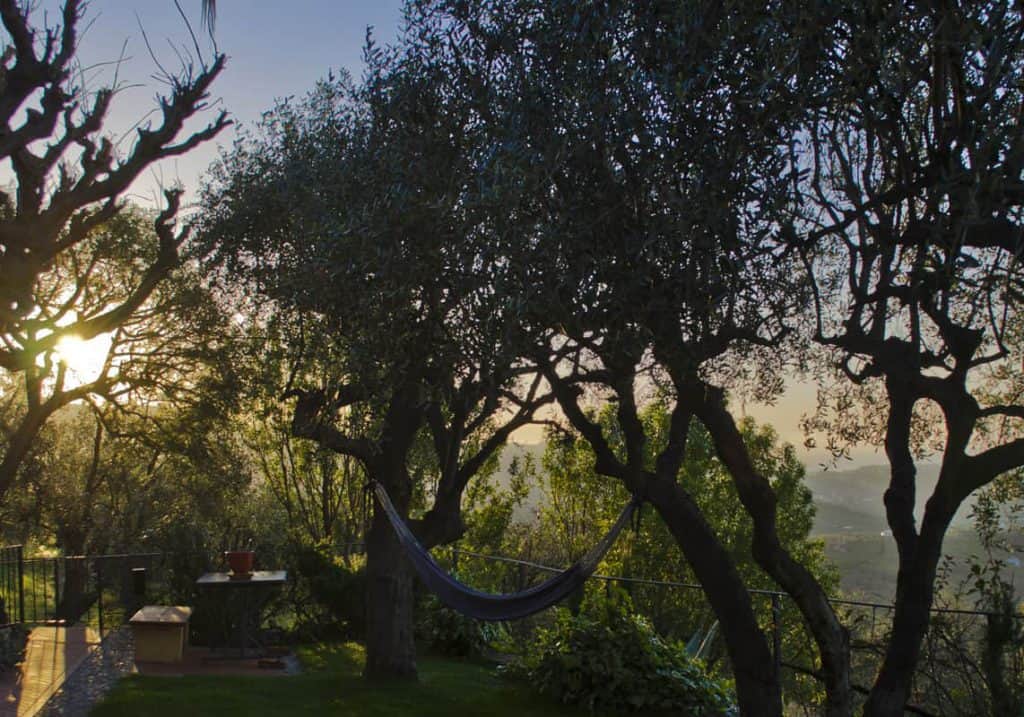 Atmosfere,  Agriturismo Relais San Damian, Imperia, Liguria, Italia